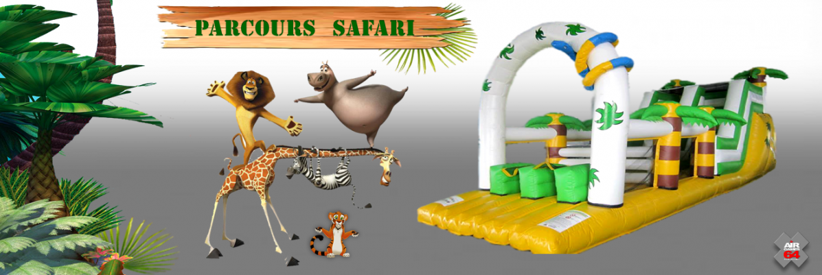 Photo carousselle safari 2