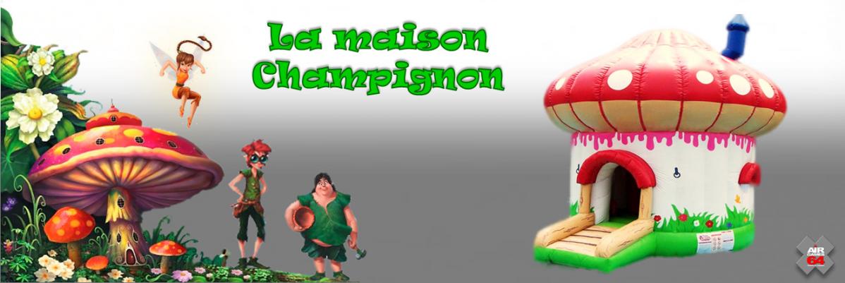 Photo carousselle maison champignon